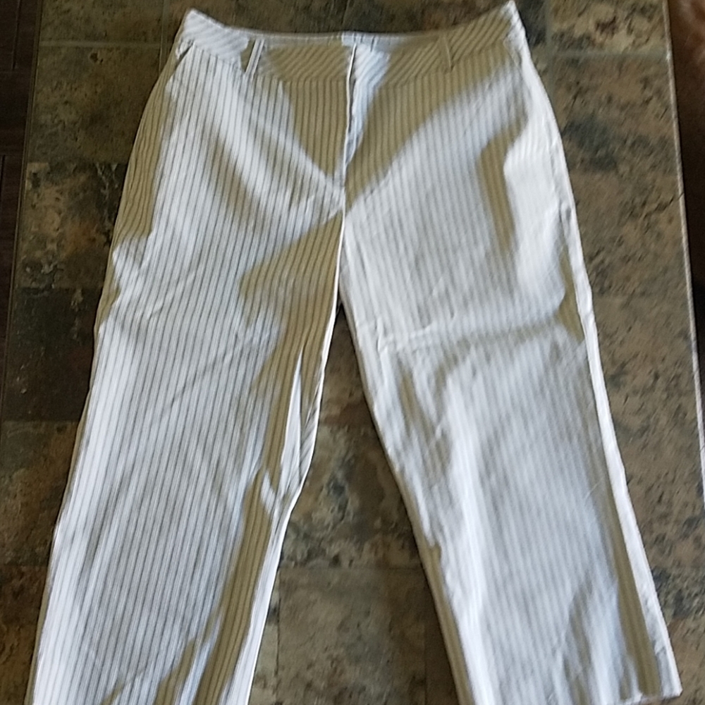 Loft crop pants